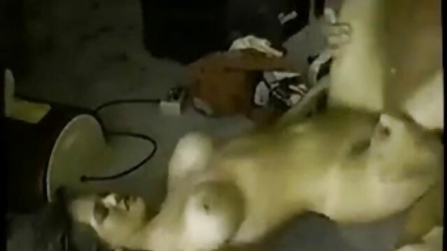 Ma copine aux gros film x streaming gratuit francais seins